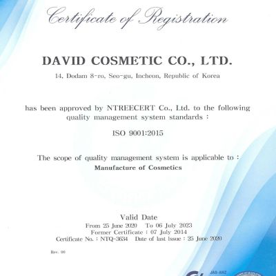 david_iso9001_02